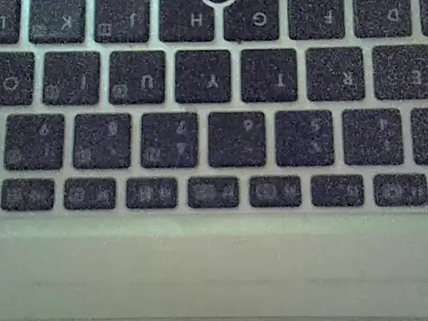 Delicious-D webcam