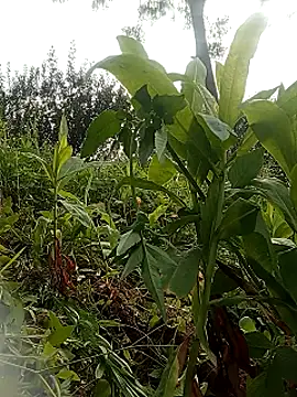Heryy_xx webcam