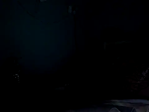funalu webcam