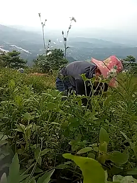 Heryy_xx live cam
