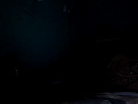 funalu webcam