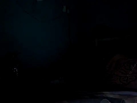 funalu webcam