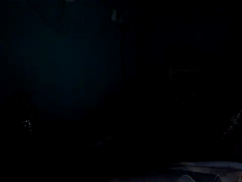 funalu webcam