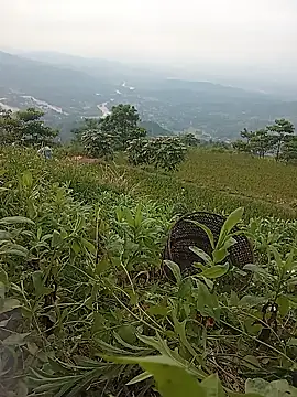 Heryy_xx webcam