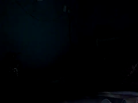 funalu webcam