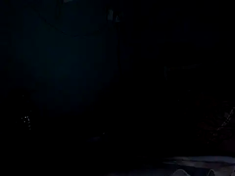 funalu webcam