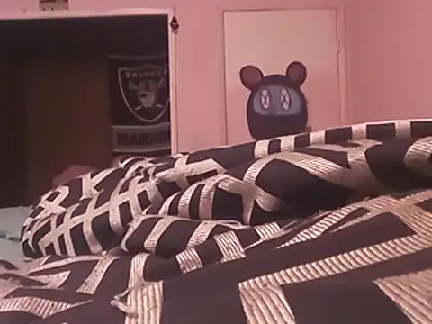 Blkstylion webcam