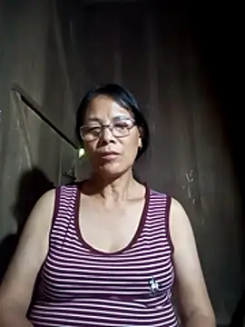 toyo_668 webcam
