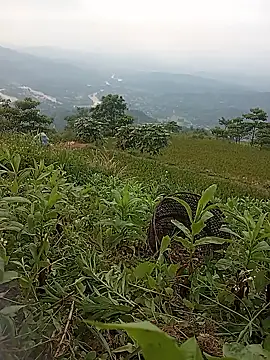 Heryy_xx webcam