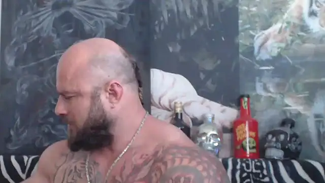 viking_30 webcam