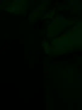 Chocokrispy69