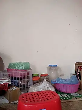 -Tara-a live cam