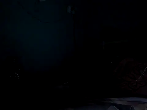 funalu webcam