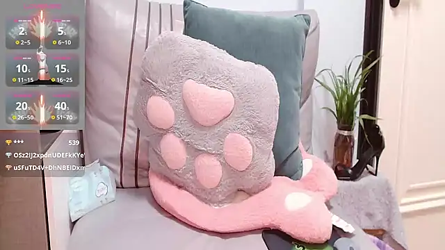 cici-2026 webcam