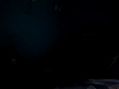 funalu webcam
