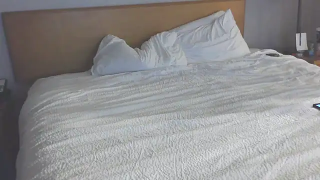 bud4party webcam