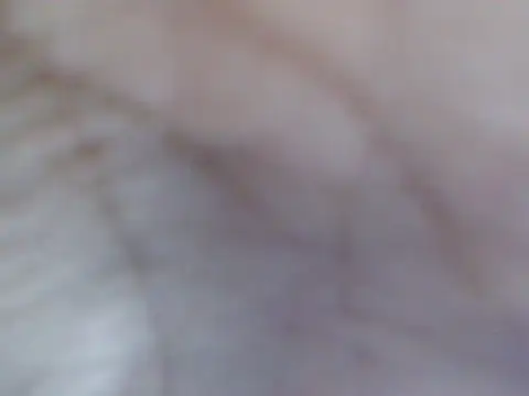 Iyotakody webcam