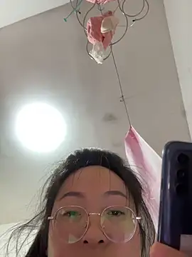 h-139431 webcam
