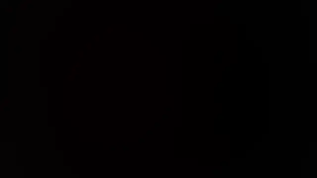 LoganSteel_ webcam