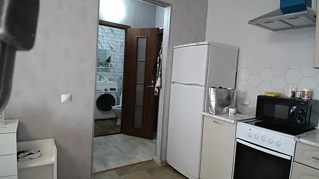 LindyVSAndy webcam