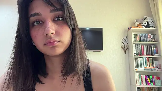 PaintedDisplay live cam