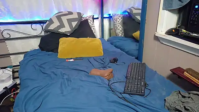 PNPSPUN1 webcam
