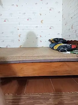 Lynk2x webcam