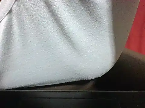 evethegurl webcam