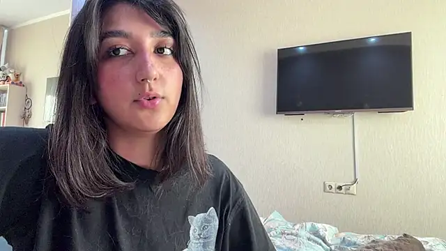 PaintedDisplay webcam