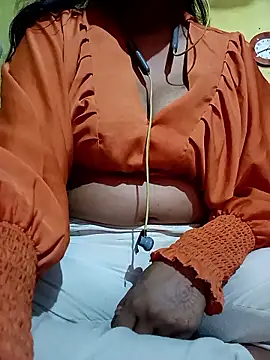 DESI-DOLLL webcam