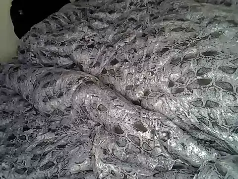 lancekel webcam