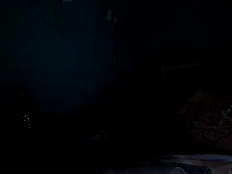 funalu webcam