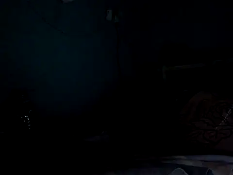 funalu webcam