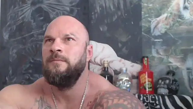 viking_30 webcam