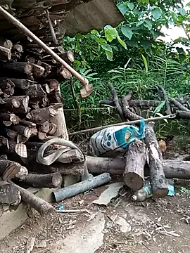 tuyet-nhi webcam