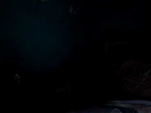 funalu webcam