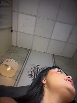 EvasBlazeXXX webcam
