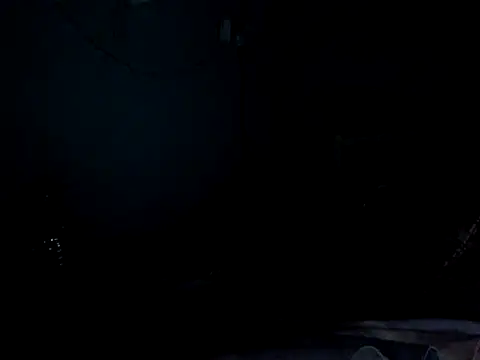 funalu webcam