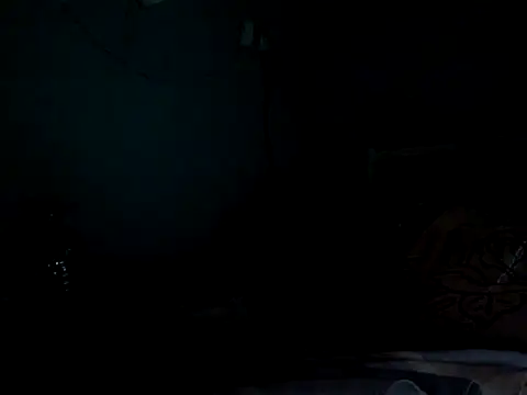 funalu webcam