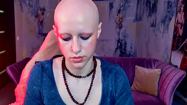 LidaDarknet webcam