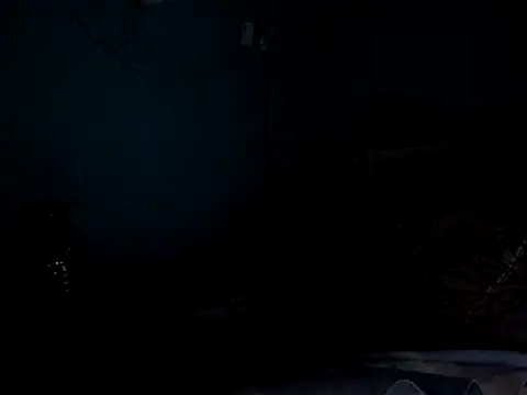 funalu webcam