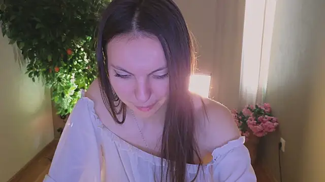 Alice-Lidel webcam