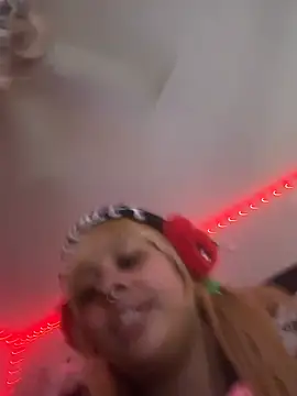 nintendhoe webcam