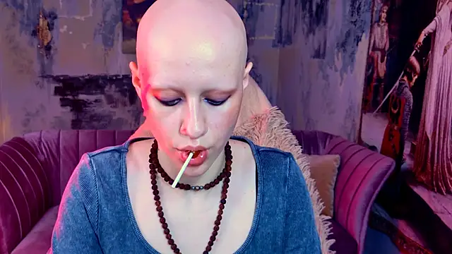 LidaDarknet webcam