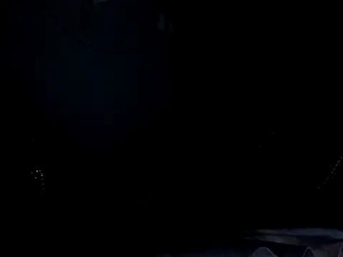 funalu webcam