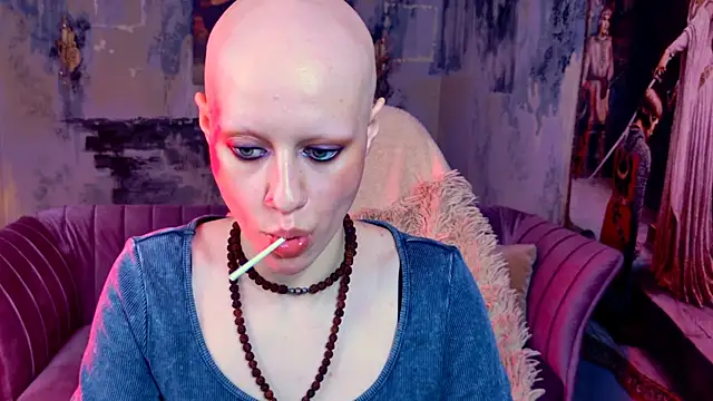 LidaDarknet webcam