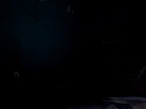 funalu webcam
