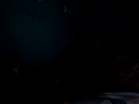 funalu webcam