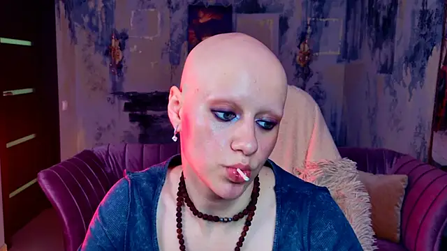LidaDarknet webcam