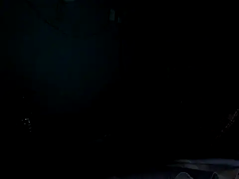 funalu webcam